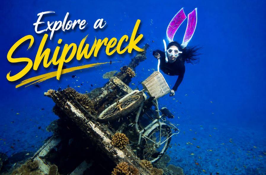 Explore a Shipwreck in the Maldives: Dive Into an Underwater Piece of History