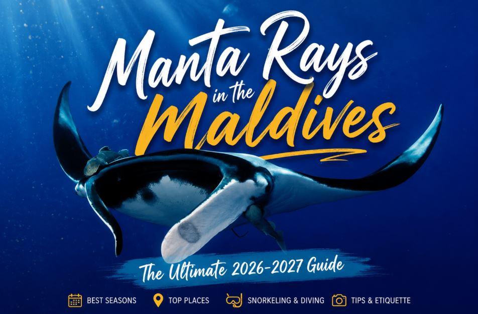 Manta Rays in the Maldives: The Ultimate  Guide to the Best Seasons, Places &amp; Encounters