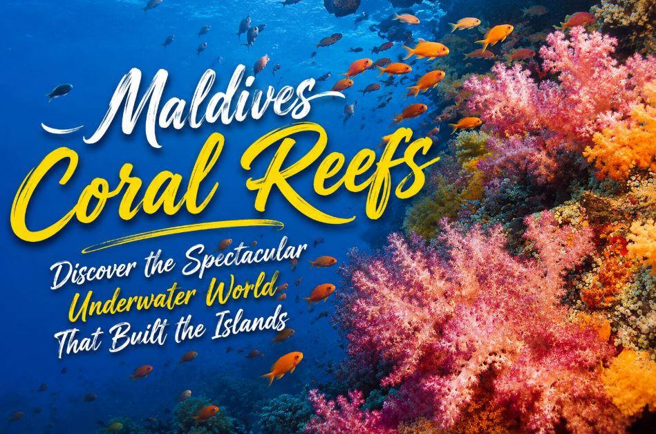 Maldives Coral Reefs: Discover the Spectacular Underwater World That Built the Islands