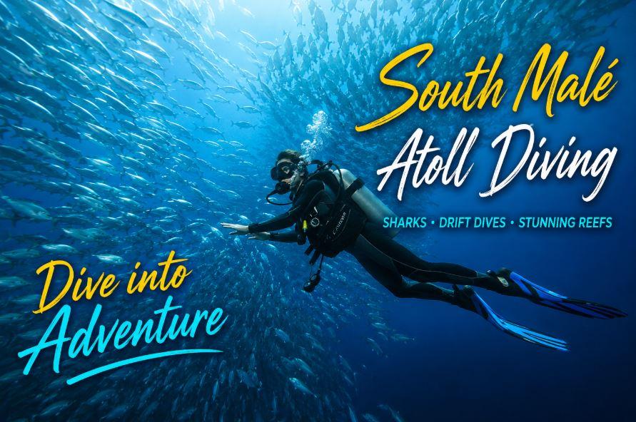 South Mal&eacute; Atoll Diving Guide: Sharks, Thrilling Drift Dives &amp; Spectacular Reefs