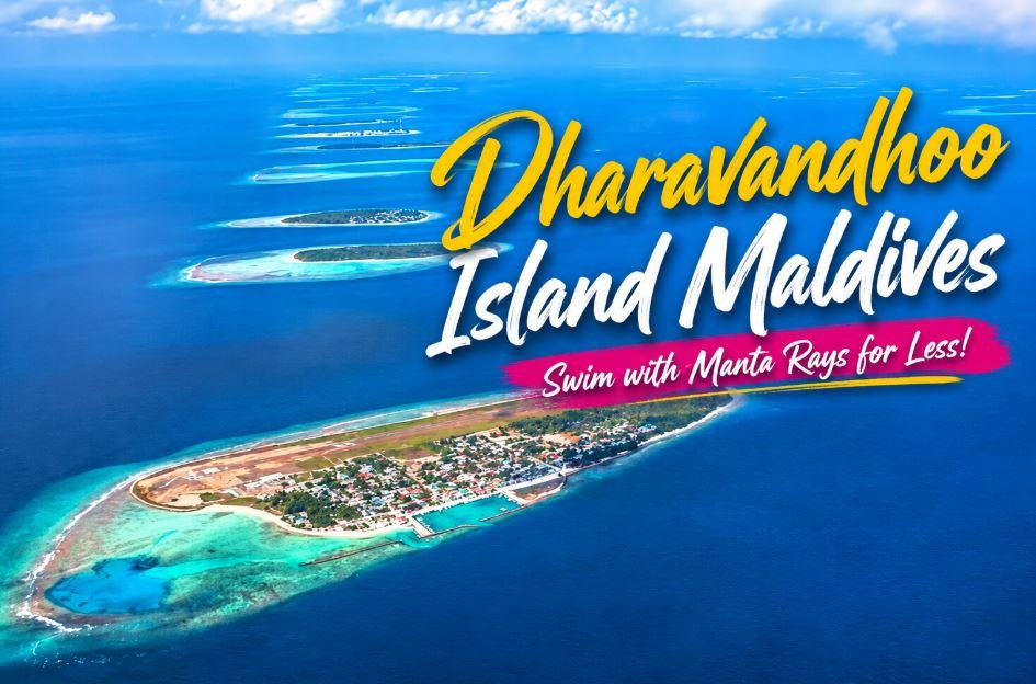 Dharavandhoo Island Maldives: The Budget Paradise Where You Can Swim With Manta Rays