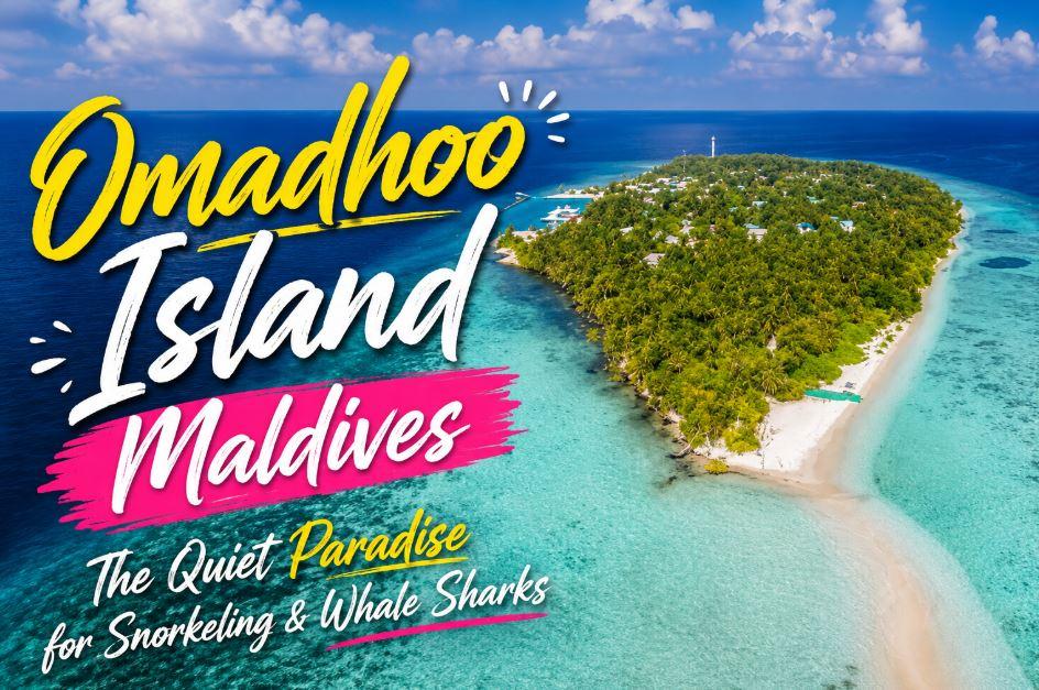 Omadhoo Island Maldives: The Quiet Local Paradise With Incredible Snorkeling and Whale Sharks