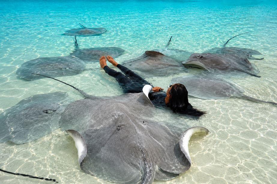 Lying with Stingrays in the Maldives: What the Experience Actually Feels Like