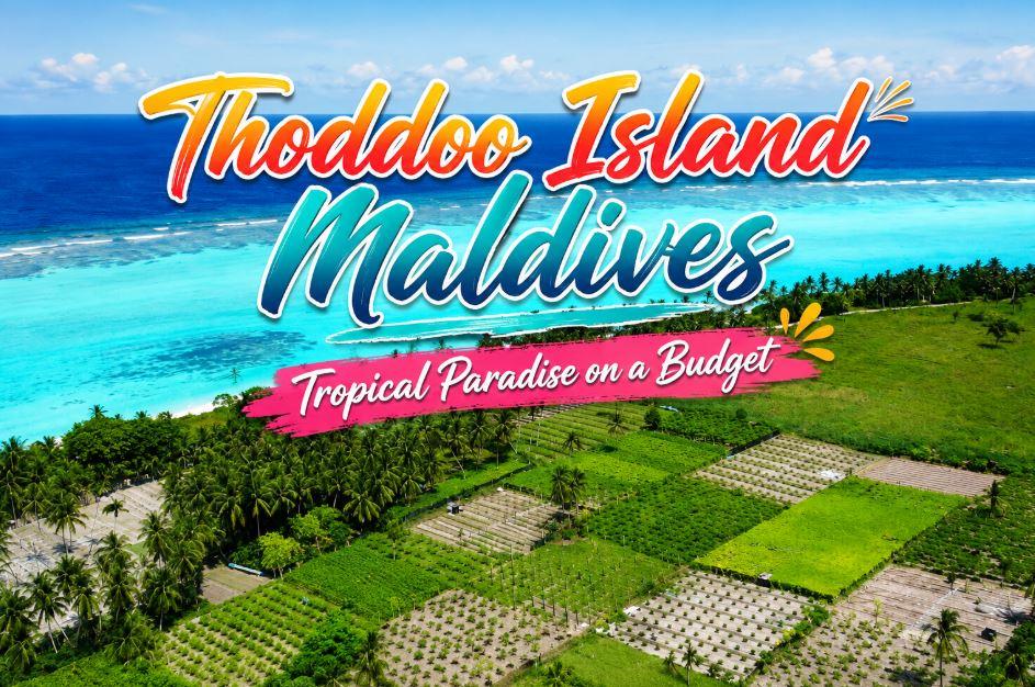 Thoddoo Island Maldives: The Tropical Farm Island With Dream Beaches, Turtles and Budget Stays
