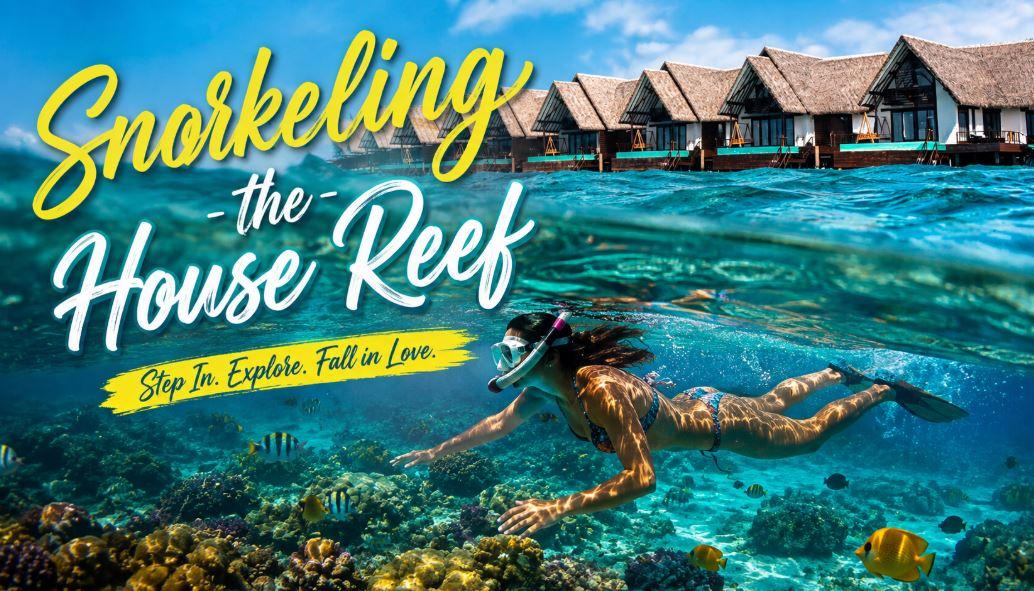 Snorkeling the House Reef in the Maldives: An Underwater Paradise Just Steps from the Beach