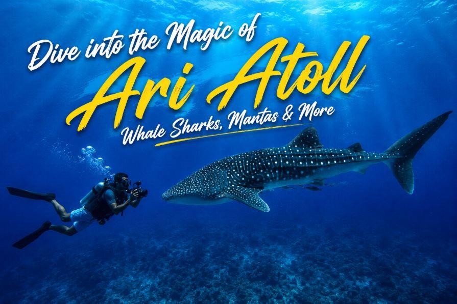 Ari Atoll Diving Guide: Whale Sharks, Manta Rays &amp; Legendary Dive Sites in the Maldives