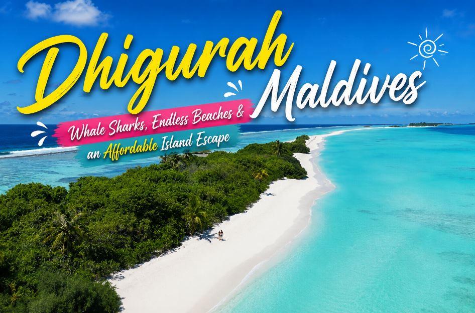 Dhigurah Maldives Travel Guide: Whale Sharks, Endless Beaches &amp; an Affordable Island Escape