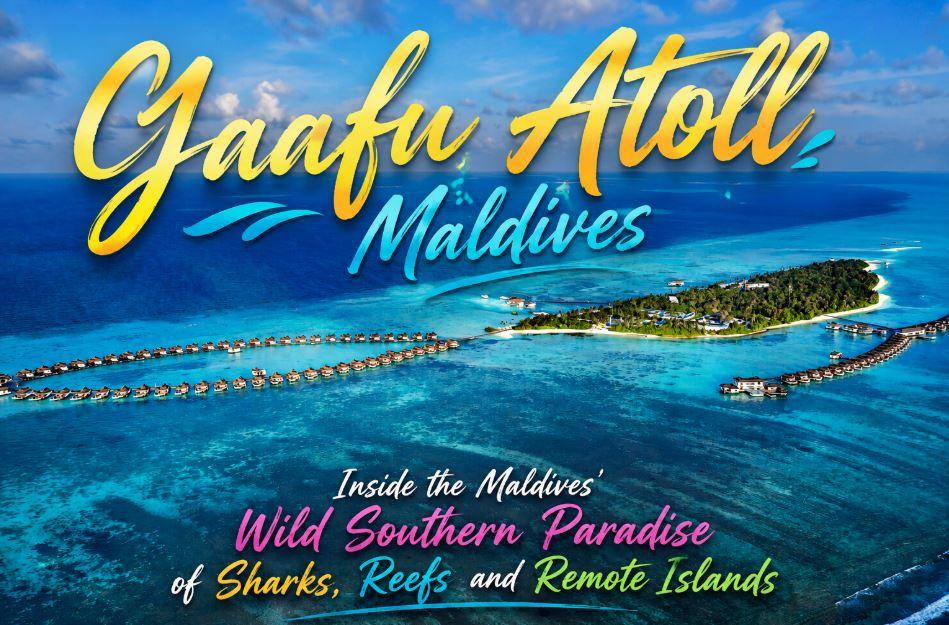 Gaafu Atoll Maldives: The Wild Southern Paradise Where Reefs, Sharks and Remote Islands Await