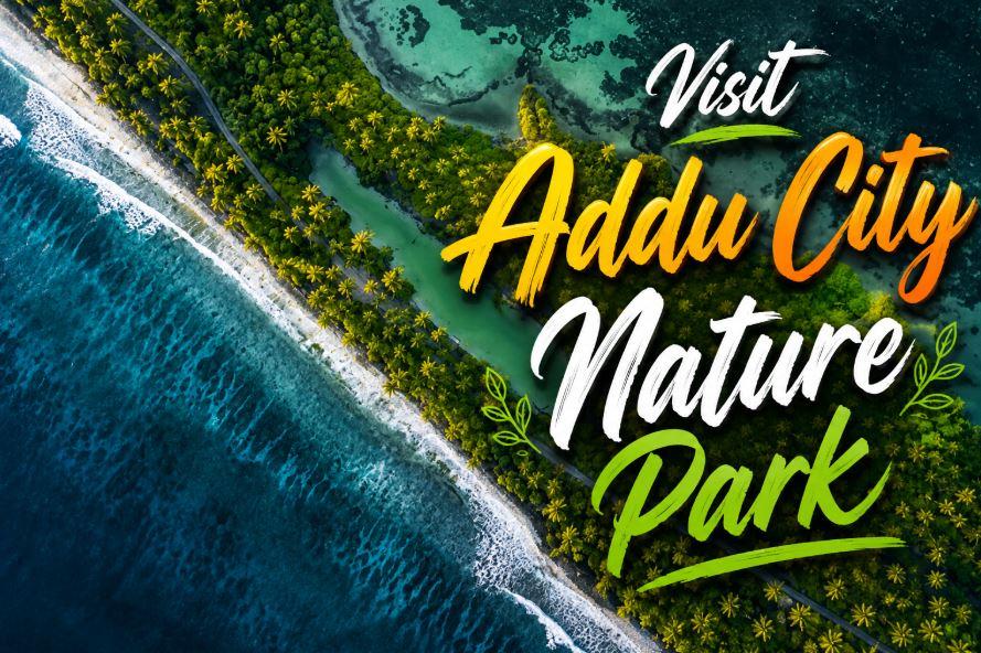 Visit Addu Nature Park: Explore the Wild, Untouched Side of the Maldives