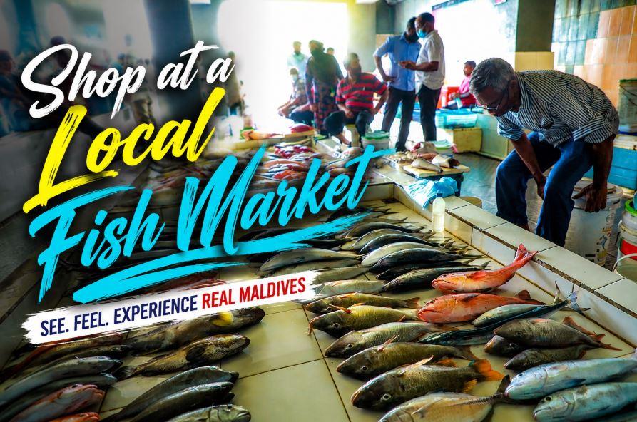 Visit a Local Fish Market in the Maldives: Experience the Real Island Life