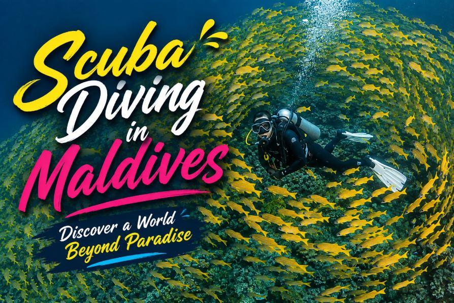 Scuba Diving in the Maldives: The Ultimate Underwater Adventure for Beginners and Experienced Divers