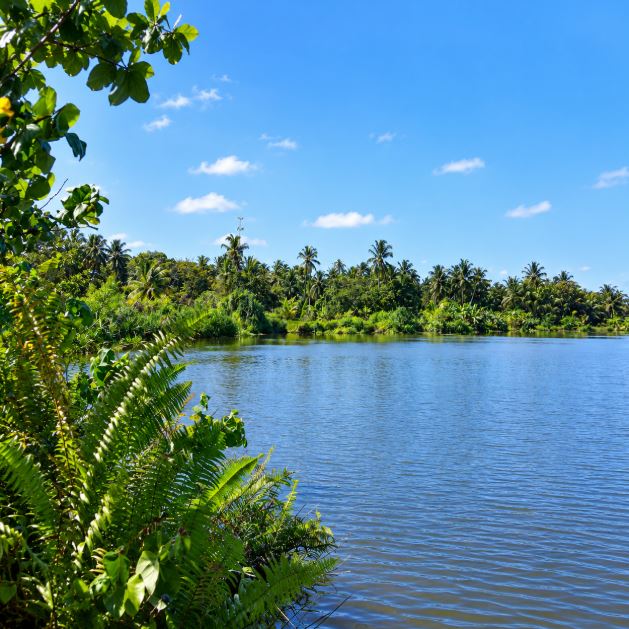 Bandaara Kilhi