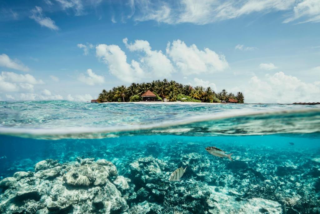 Gaafu Alifu Atoll