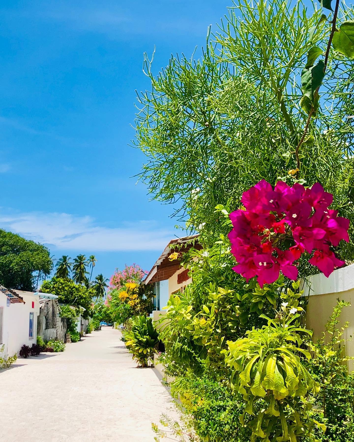 Keyodhoo