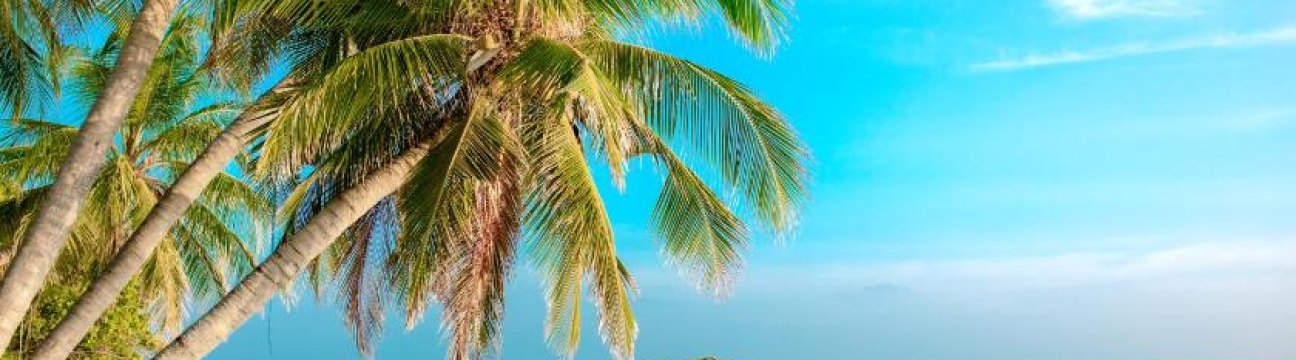 Alifu Alifu Atoll