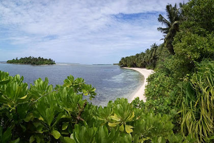 Thaa Atoll