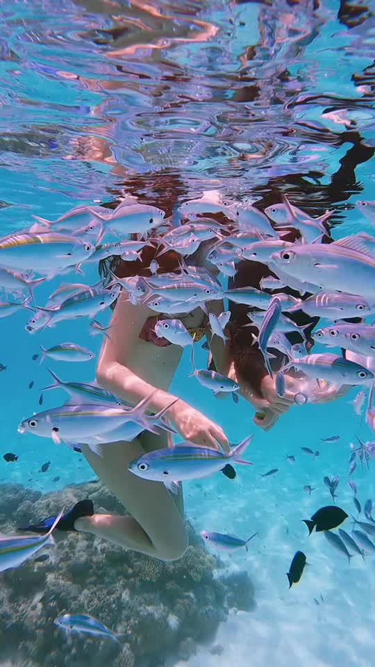 The  secret of BLUE HOLE..!! #maldives #rasdhoo #underwater #fish #fishfeeding #snorkeling #visitmaldives #underwatershoot #amzingview #amzingplace #beautifuldestinations