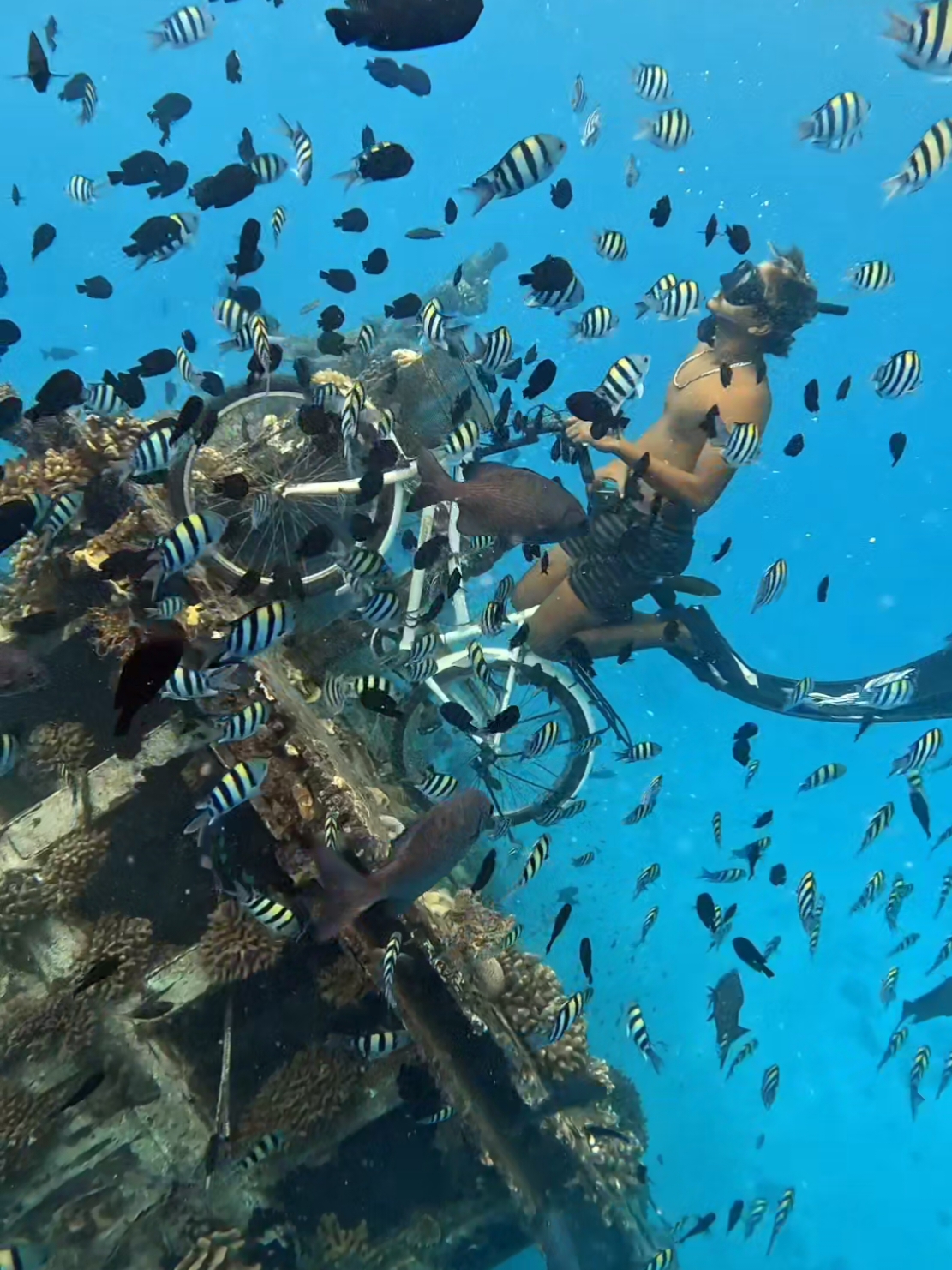 Keyodhoo island Vaavu Atoll Maldives #maldives #freediving #shipwreck #visitmaldives #underwater #travel #traveltiktok