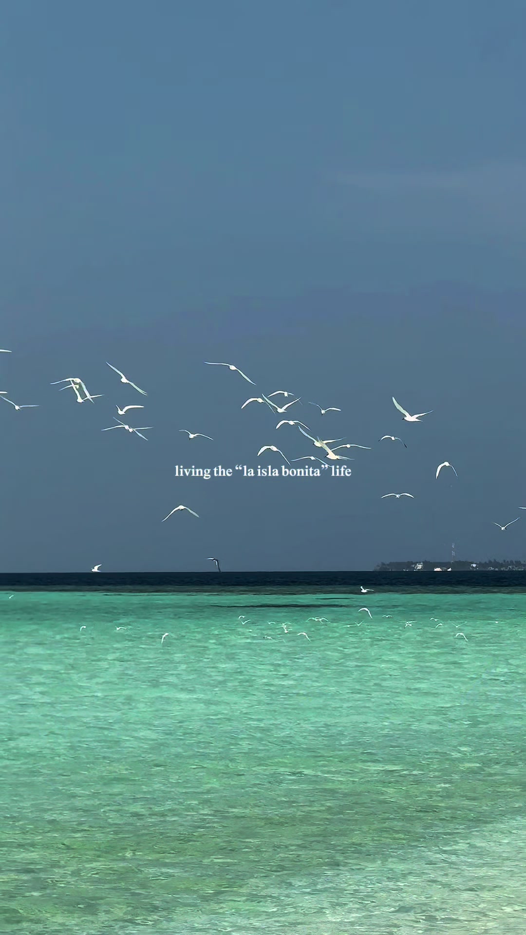 Greatful for this life 🏝️🤍 #maldives #laislabonita #islandlife #fyp #foryoupage