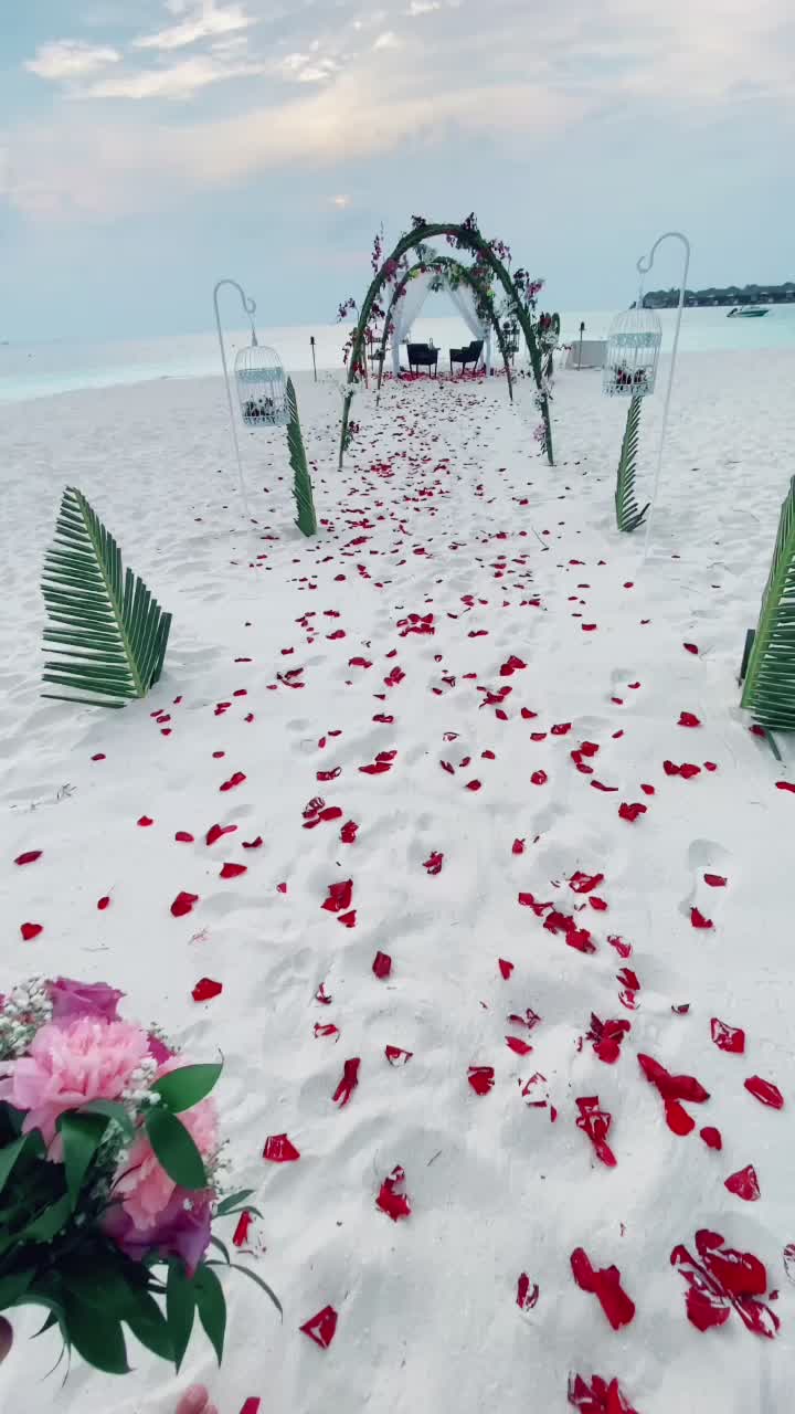 #maldives #weeding #wmaldives