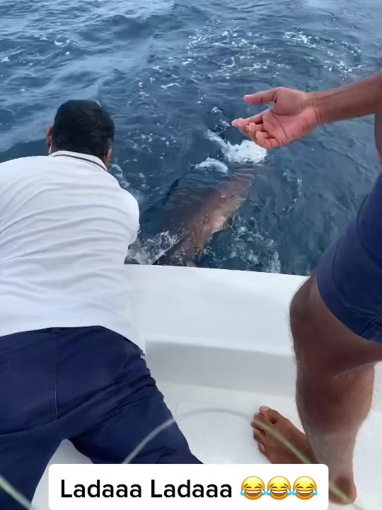 Big game fishing #maldives #tiktokmv #tiktokmaldives #fypシ #foryourpage #fyp