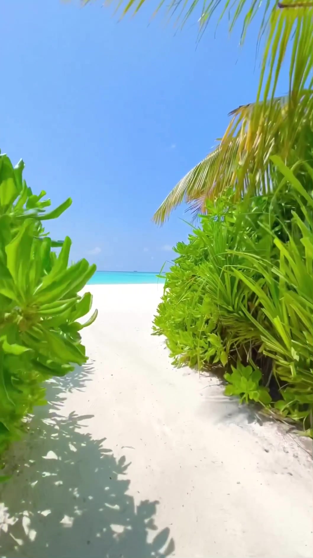 Life is short, go to the Maldives! #beach #nature #travel #scenery #landscape #beautiful #fpy