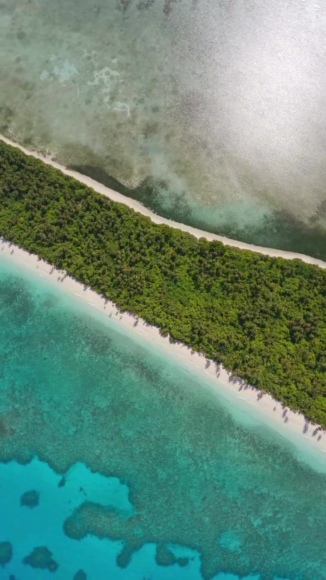 private island thaa.atoll fahala #dji #gopro #fpv #djiavata #maldives #visitmaldives #drone #dronevideo @Visit Maldives @𝘿𝙟𝙞 Community @DJI Official @Maldivesinsider @GoPro