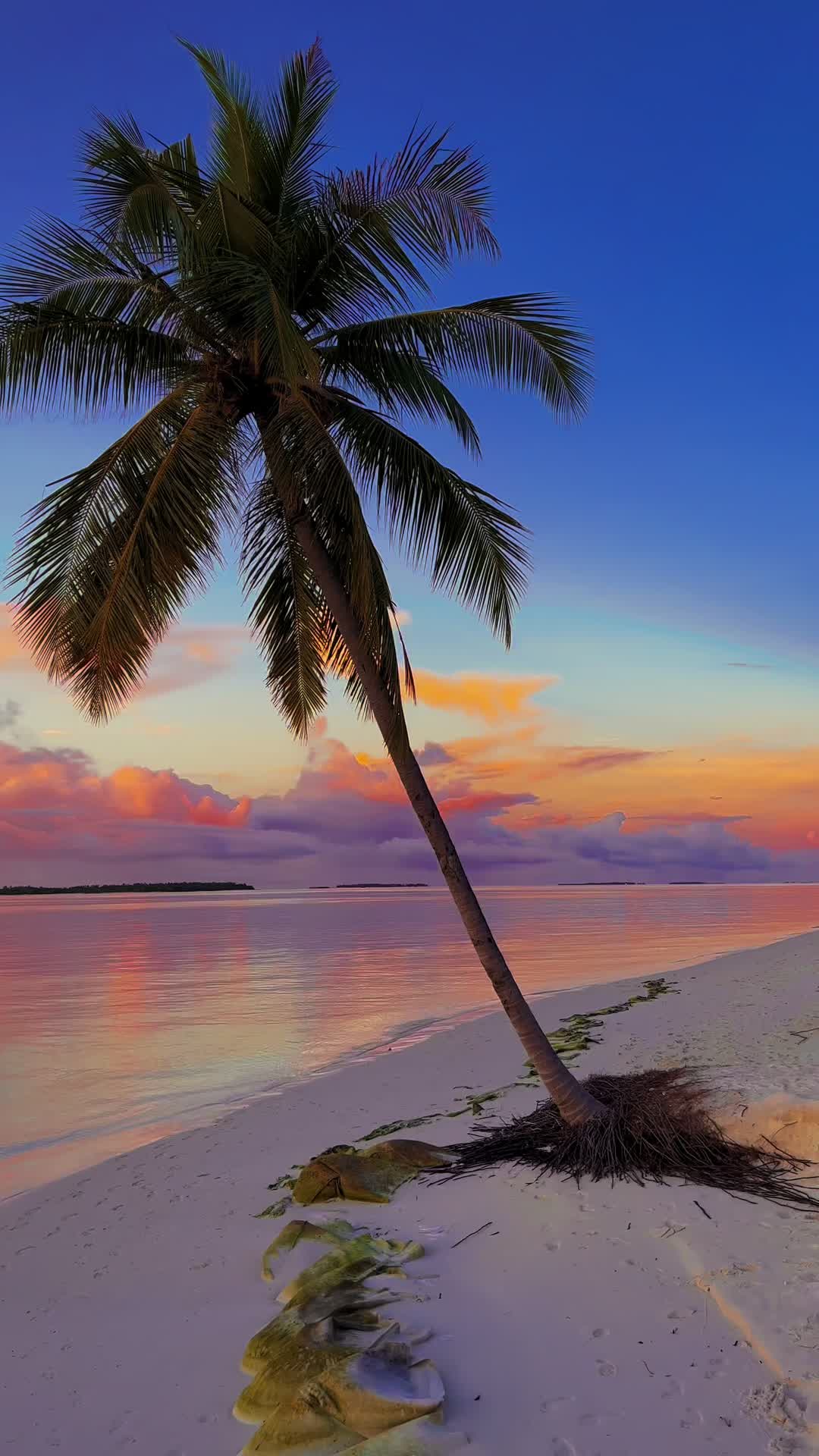 Dream island🏝️ #fyp #maldives #sunset #island #travel #fypシ