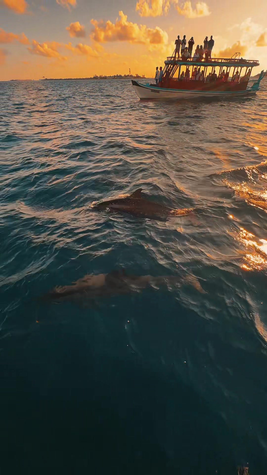 Sunset Dolphin Cruise 🐬 🌅  #sunsiyamiruveli #maldives #maldivesresorts #visitmaldive #maldivesislands #fy