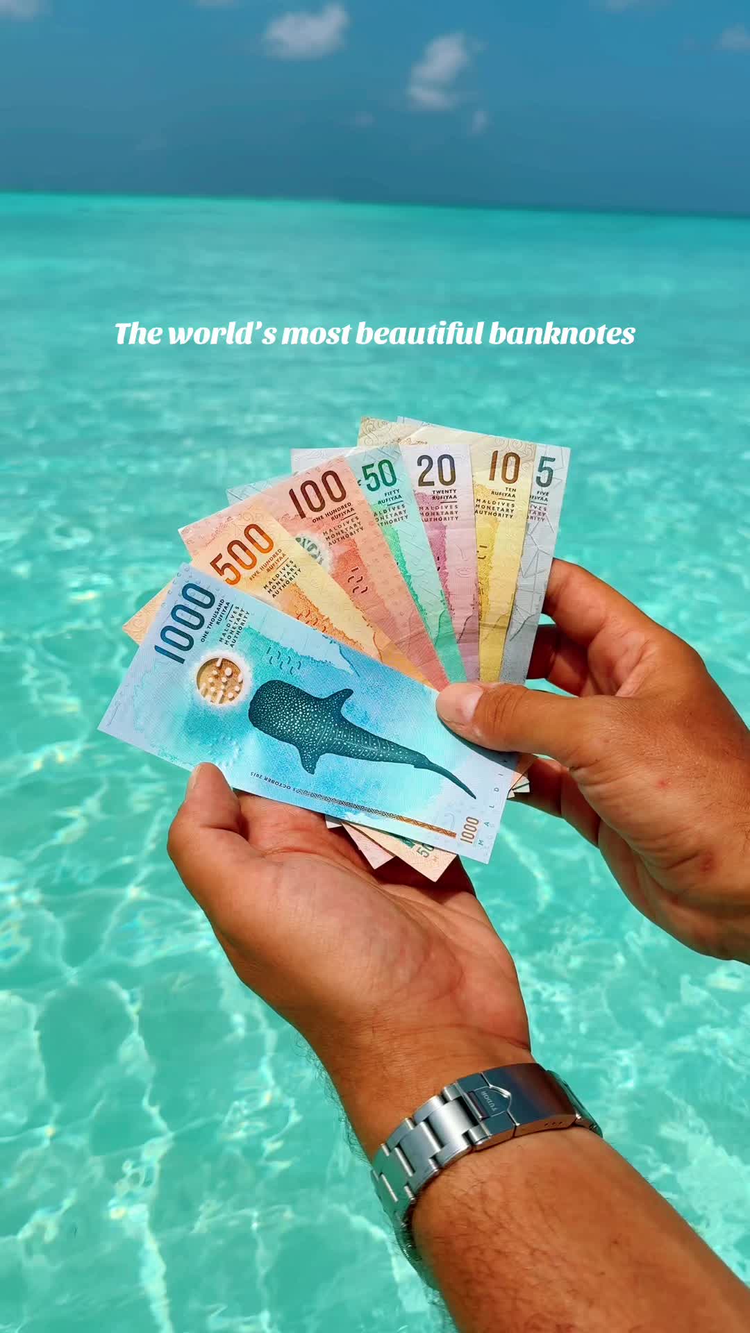 Which one is your favorite? 🇲🇻 #travel #tropical #maldives #currency #banknotes #beautifuldestinations #wheretogo
