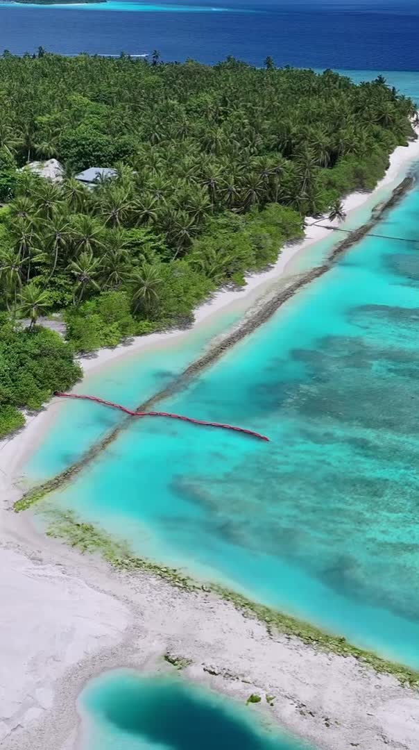 F.Nilandhoo 🌴🌊#viral #nature #ocean #tiktok #trending #fyp #foryou #foryoupage #viralvideo