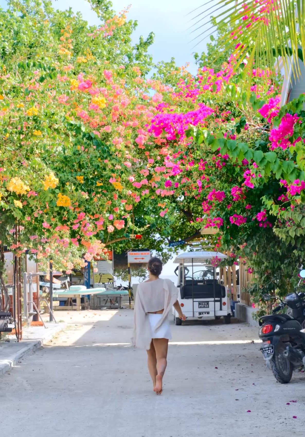 Every step, a breath of paradise🌸☀️ #rasdhoo #maldive #maldivestiktok #islandgirl #working #flowers #nature #isalndlife #visitrasdhoo #visitmaldives #shoot #photoshoot
