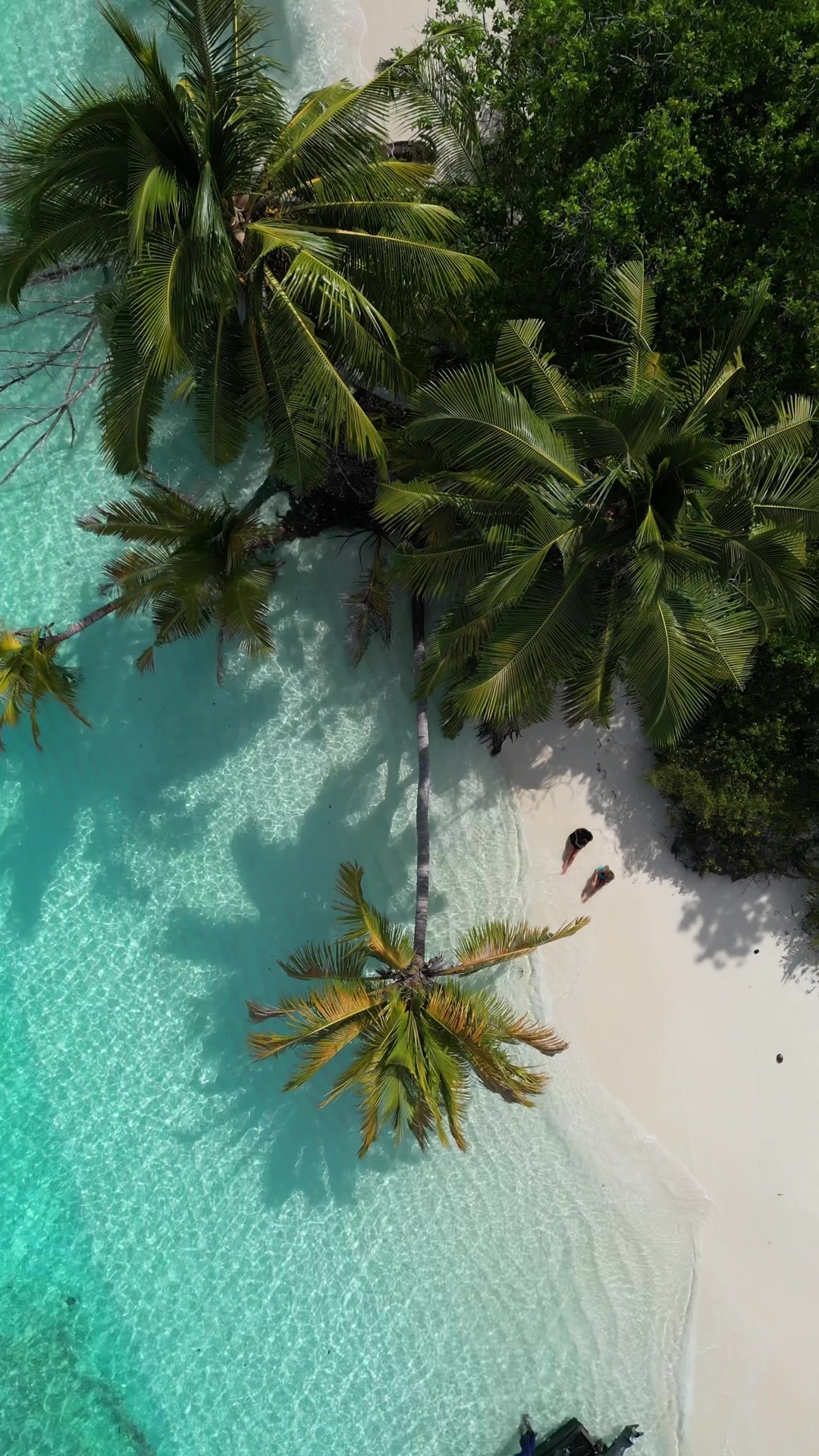 Heaven on earth 🥹🏝️ #gaafudhaaluatoll #ayada #ayadamaldives #maldives #maldivesvacation #maldivestiktok #maldivesislands #maldivesresorts #picnicisland #desertisland #island #islandlife #islandtiktok #remoteisland #paradise #paradisefound