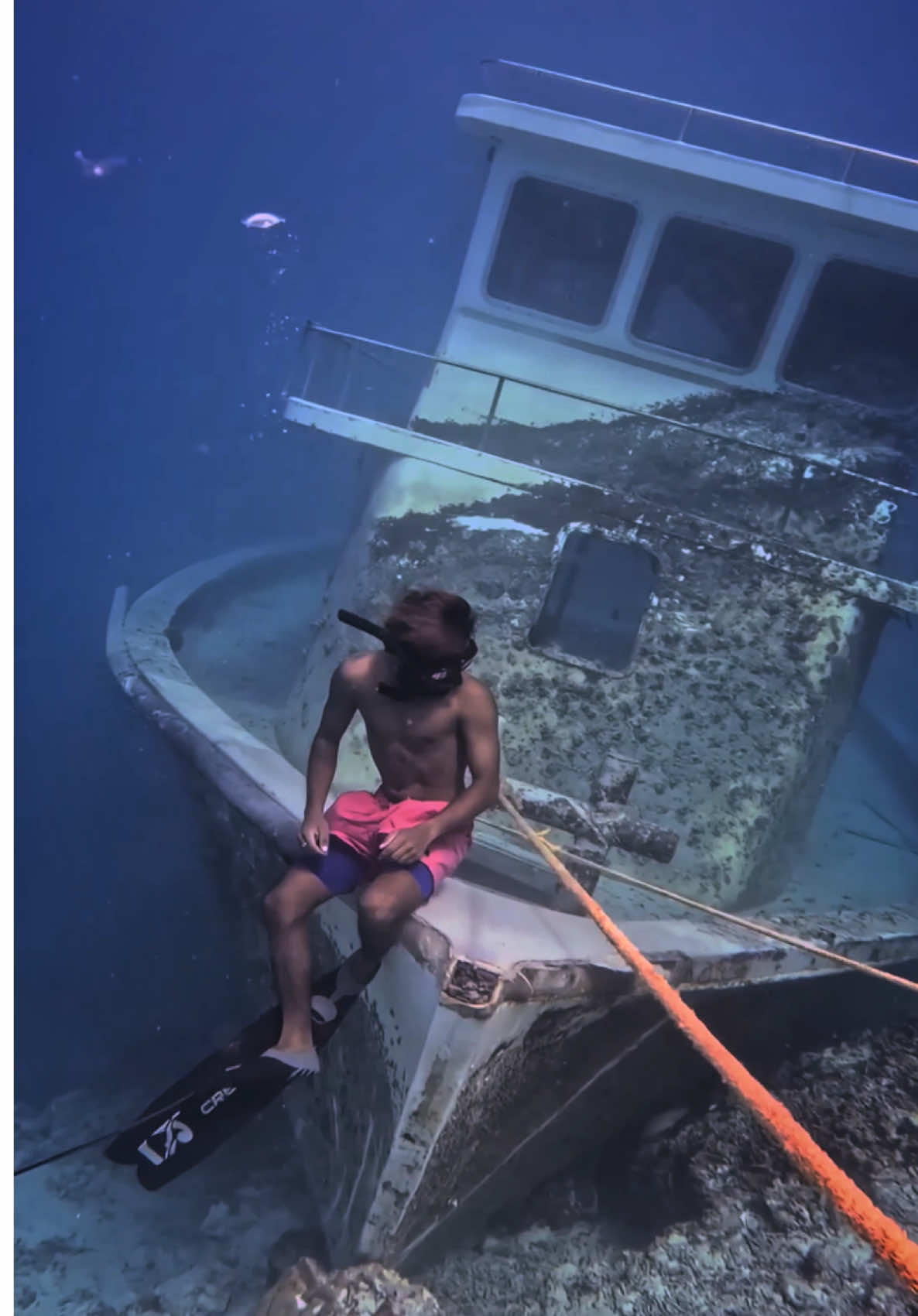 Way Down We Go To Guraidhoo Shipwreck ⚓️ #ExploreGuraidhoo #VisitGuraidhoo #MaldivesMagic #OceanEscape