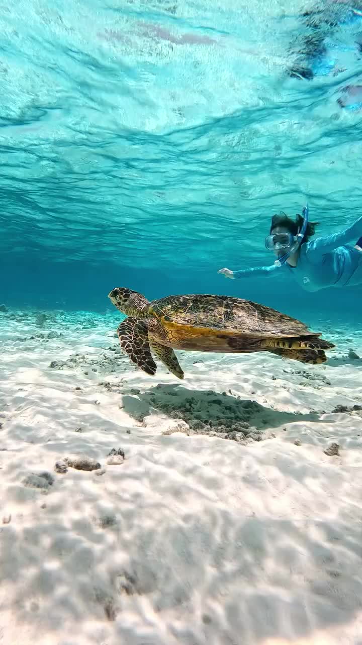 Snorkeled with sea turtles in the Maldives and I&rsquo;m never getting over it 🐢💙 Tell me this isn&rsquo;t straight out of a dream 🌊✨ #BucketList #MaldivesVibes #SnorkelingAdventure #TurtleTok #OceanMagic #MaldivesTrip #IslandLife #TravelWithThomasToday #TurtleEncounter #UnderwaterWorld #BeachEscape #Wanderlust #FYP #TravelTok #SummerVibes #DreamVacation #ViralTravel #NatureTok #OceanLovers #BucketListTrip #InspoReel #TropicalGoals