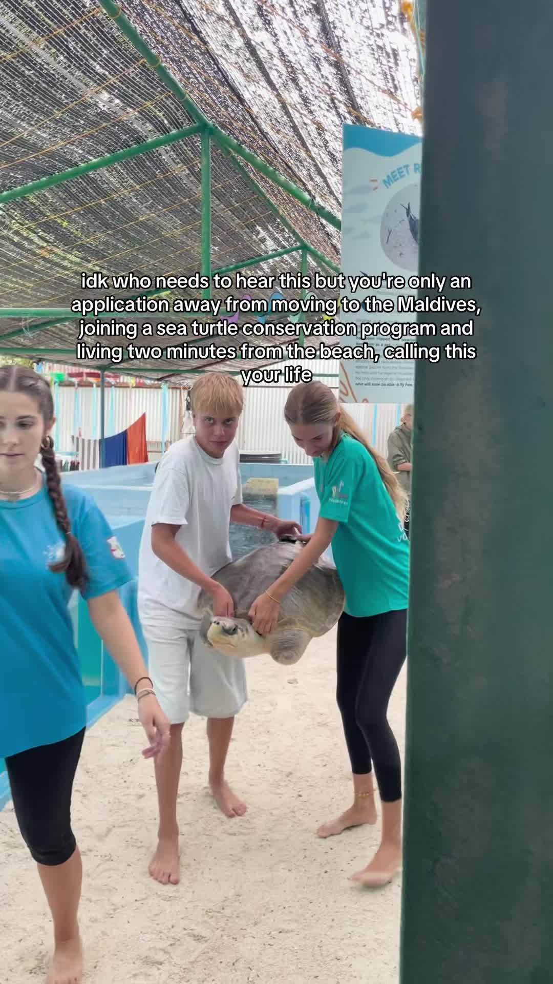 Sea turtles > spreadsheets, comment &lsquo;🐢&rsquo; for more details! #volunteerabroad #maldives #marineconservation #dreamjob #tseaturtles NOTE: Turtles are only handled when absolutely necessary during the course of critical conservation, preservation and rehabilitation work.