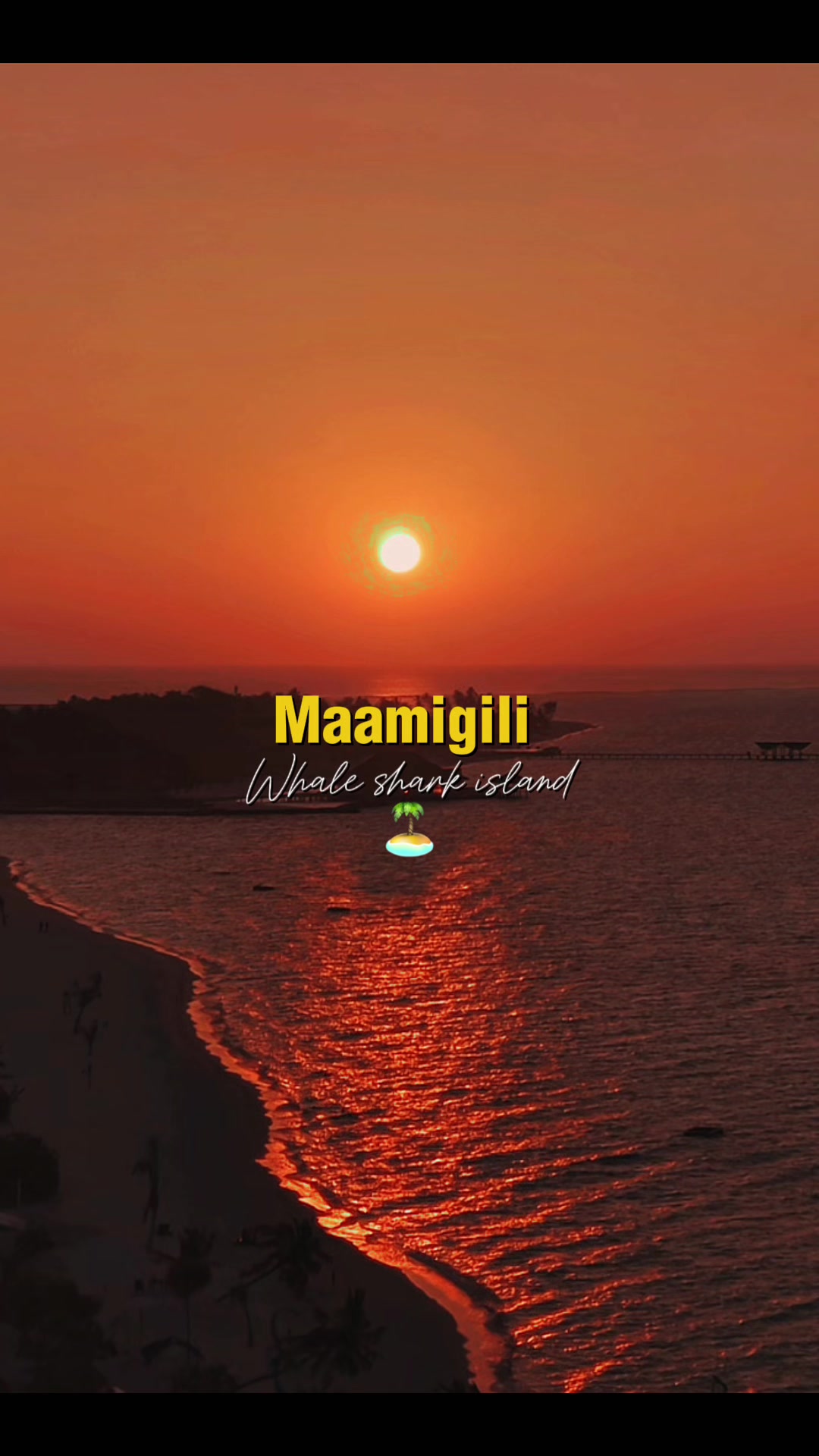 💙🧡#maldives #whalesharkisland #visitmaamigili #homeland #CapCut