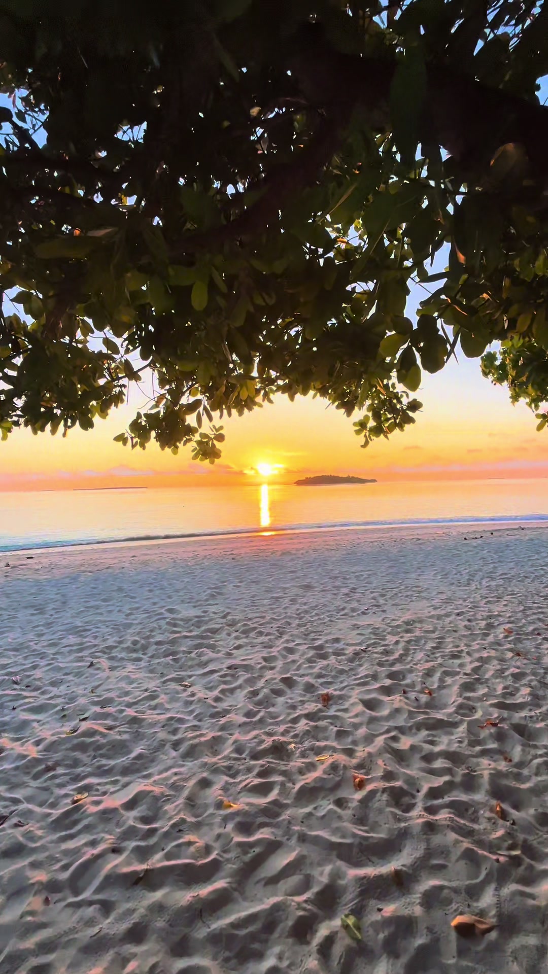 Take a walk on the beach with me.  #sunrise 🌅 #indianocean #viralvideo #fypシ゚ #maldivesvacation