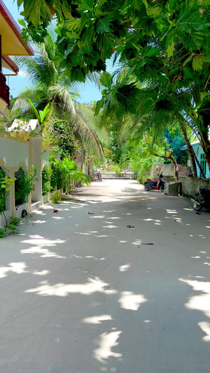 Local Island Natural View Maldives 🇲🇻🇲🇻