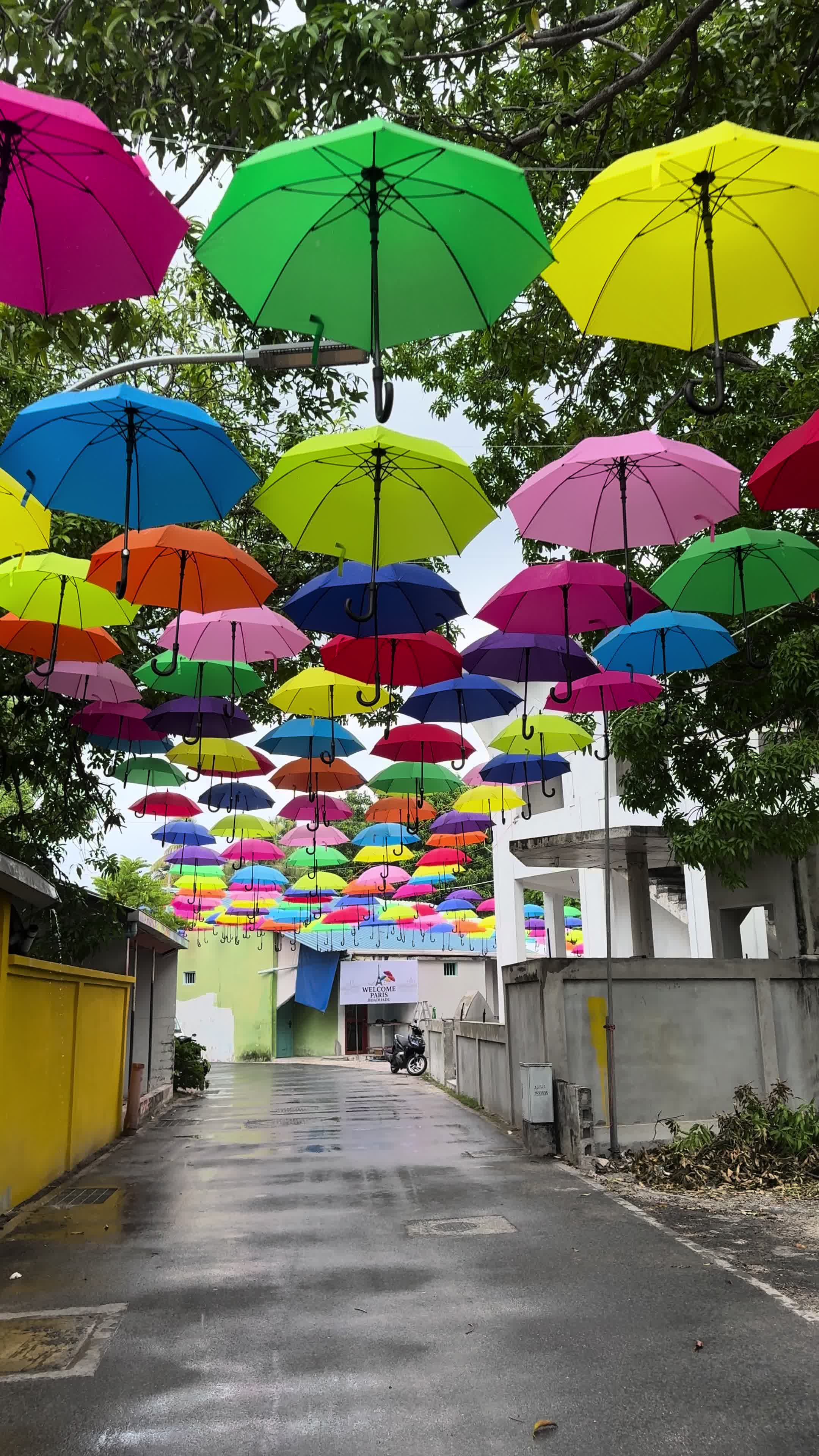 Umbrella street  ☂️             #maldives #fuvahmulah #colorful #umbrellastreet #eidmubarak