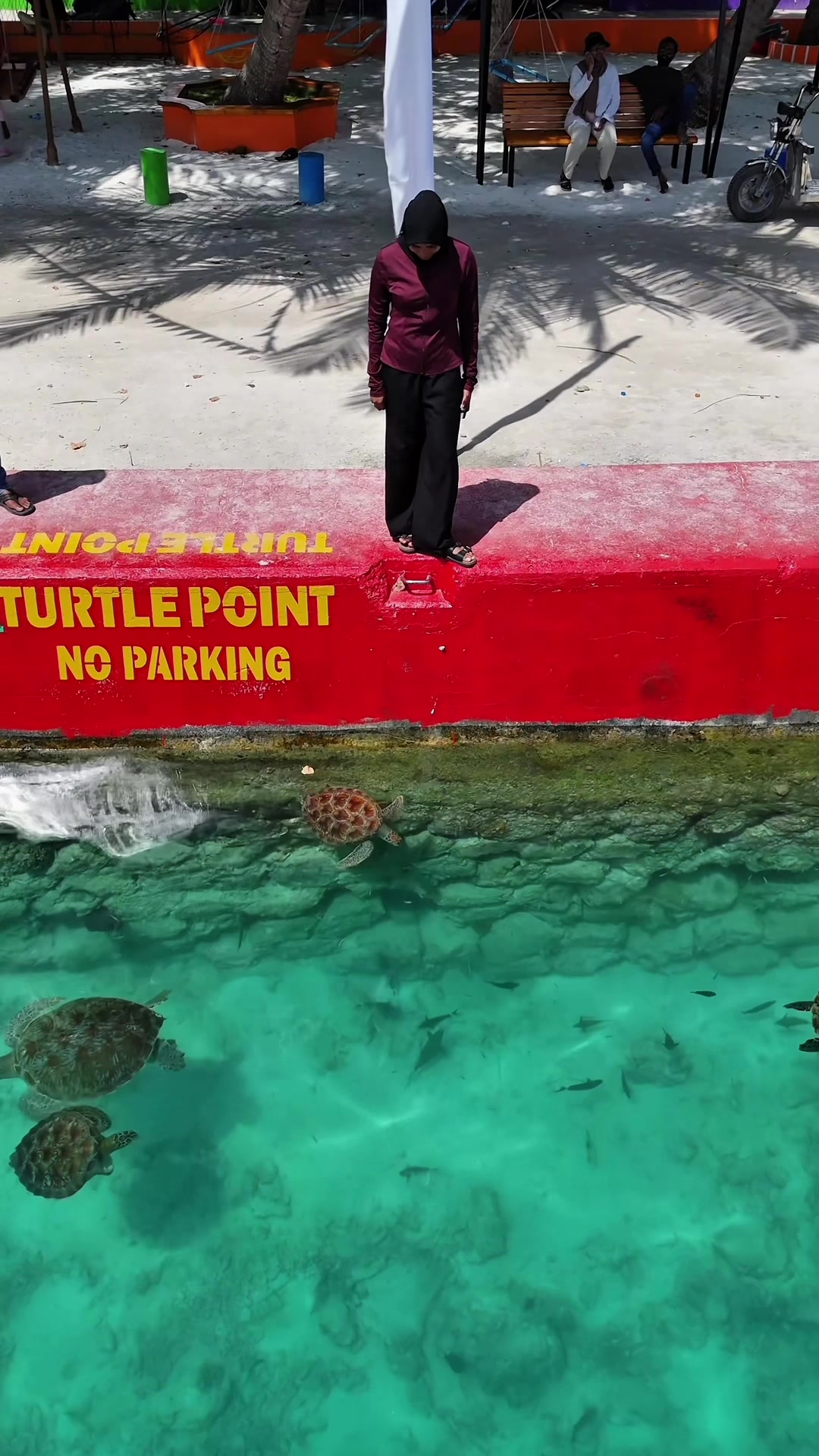 Turtle Point 🐢😍 #hangnaameedhoo #tiktokmv #dhivehitiktok #turtles